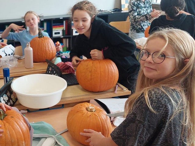 Kuerbis1