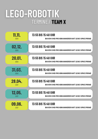 Temine_Team_X